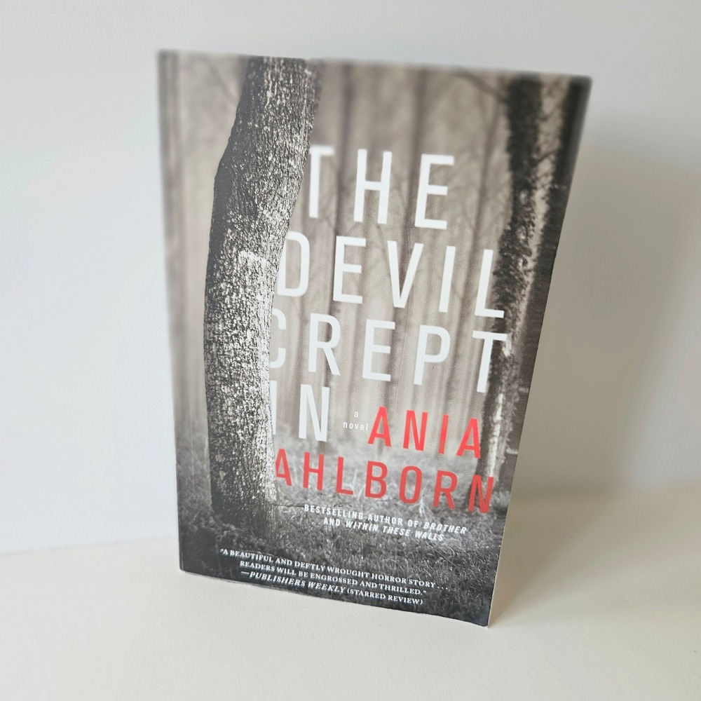 The Devil Crept In by Ania Ahlborn Paperback Novel